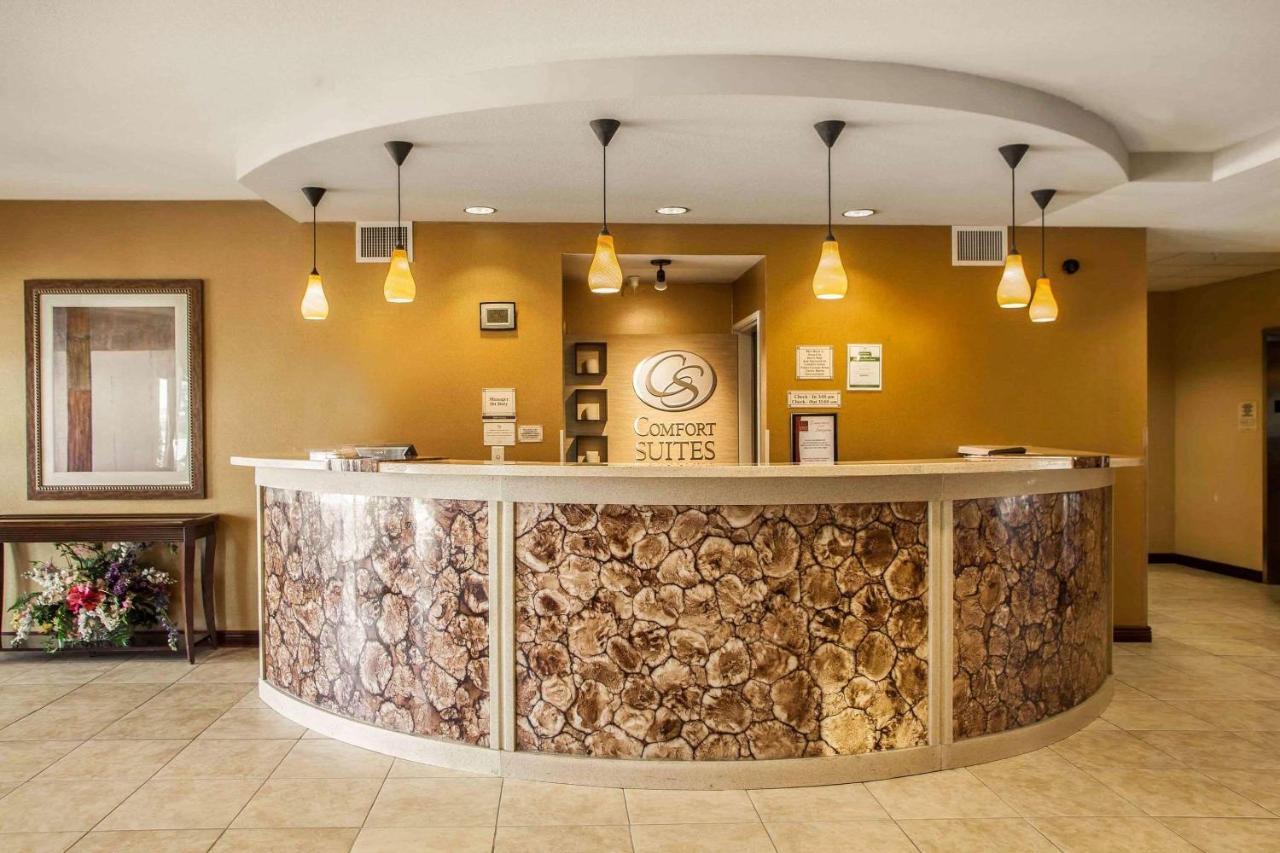 Comfort Suites Bloomington I-55 And I-74 Extérieur photo